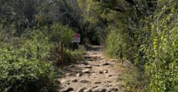LA LOMA, LA QUEBRADA CORTADERAS