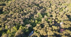 LA LOMA, LA QUEBRADA CORTADERAS