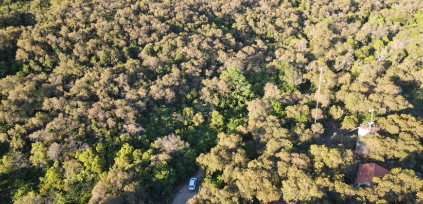 LA LOMA, LA QUEBRADA CORTADERAS