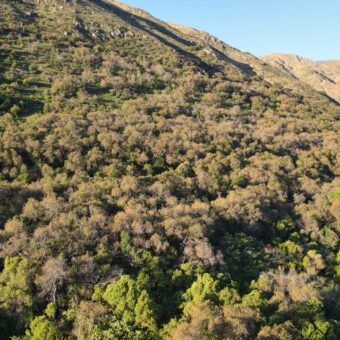 LA LOMA, LA QUEBRADA CORTADERAS