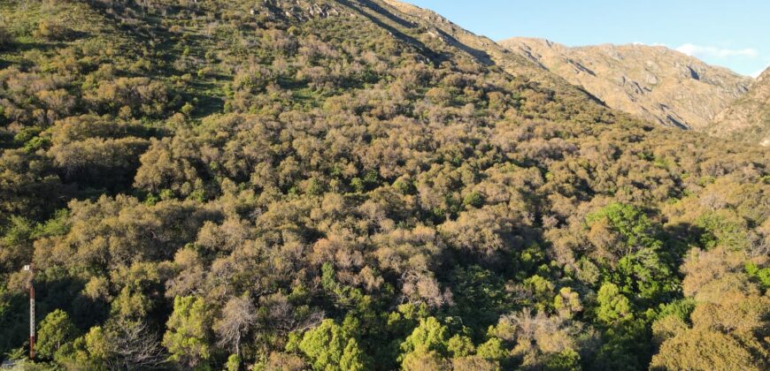 LA LOMA, LA QUEBRADA CORTADERAS