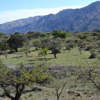 LOTE EN AGUAS BLANCAS