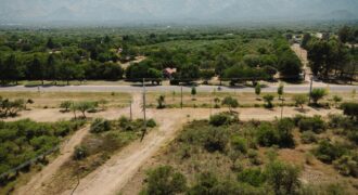 LOTES EN «BAJO HORIZONTE»