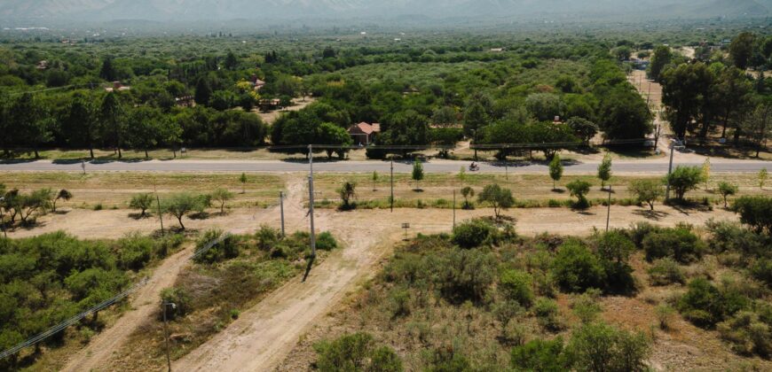 LOTES EN «BAJO HORIZONTE»