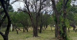 LOTE CENTRICO EN LOS MOLLES