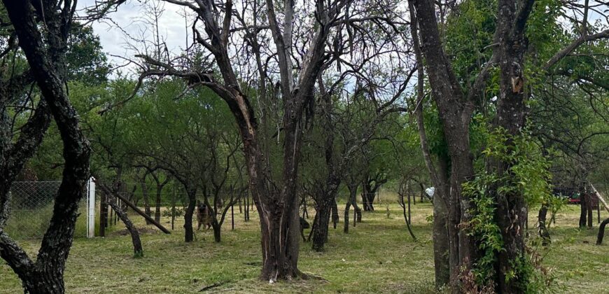 LOTE CENTRICO EN LOS MOLLES
