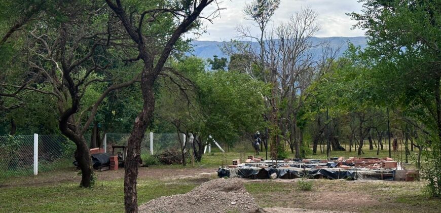 LOTE CENTRICO EN LOS MOLLES