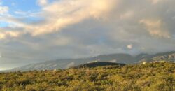 AMPLIA CASA SOBRE AV. LOS MANDARINOS