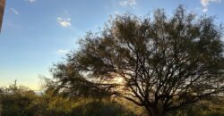 AMPLIA CASA SOBRE AV. LOS MANDARINOS