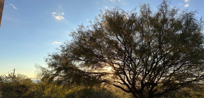 AMPLIA CASA SOBRE AV. LOS MANDARINOS