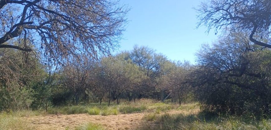 LOTE SOBRE RUTA N°28
