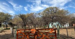 LOTE LIMPIO Y ALAMBRADO