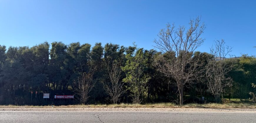 LOTES SOBRE RUTA Nº1 EN BARRIO LA BELEN